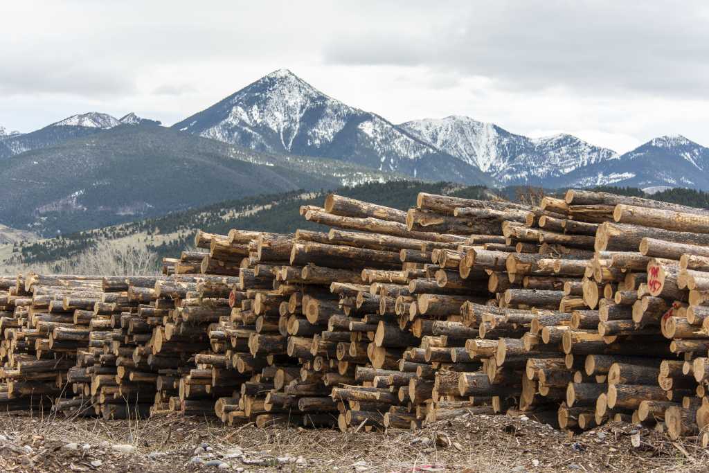 Why Does America Build Wooden Houses?