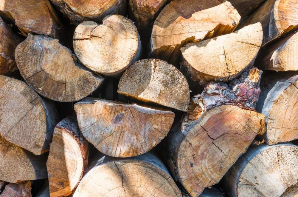 Is Pine Wood Hard or Soft? Explained