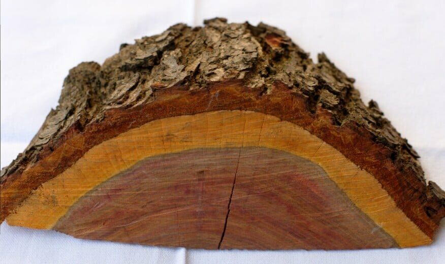 Does Wood Conduct Electricity? The Science Behind Wood's Electrical Conductivity